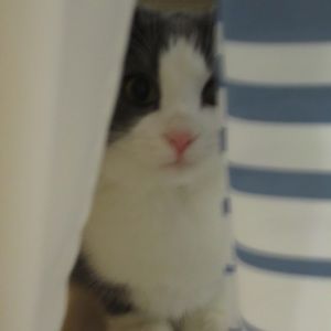 Meet your Posher, Lilly
